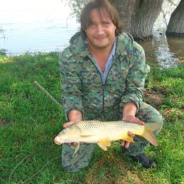 ���������, ������������, 44 ����