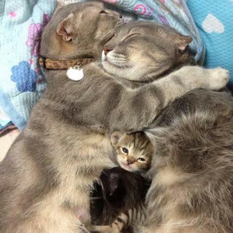   :3 - 2
