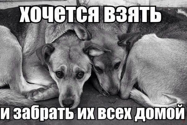  - 10  2017  14:43