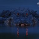 ���� Petr, ���������, 70 ��� - ��������� 12 ������� 2017 � ������ ������ ��������