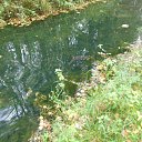 ���� Fedor., ������-���, 56 ��� - ��������� 21 �������� 2017 � ������ ������ ��������