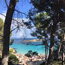  Svetlana,  -  29  2017    