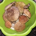 ���� ������, ����, 58 ��� - ��������� 9 ������� 2017 � ������ ���� ����������