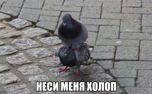    :D - 10  2017  22:05