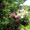 ���� ������, ���������, 71 ��� - ��������� 12 ������� 2017