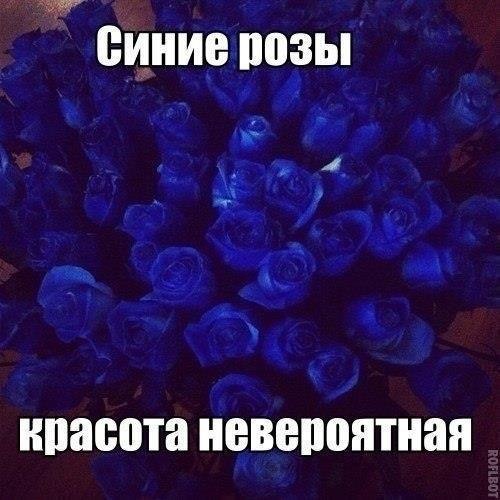   .. - 28  2017  21:55