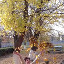 ���� ������, �������� - ��������� 18 ������� 2017 � ������ ���� ����������