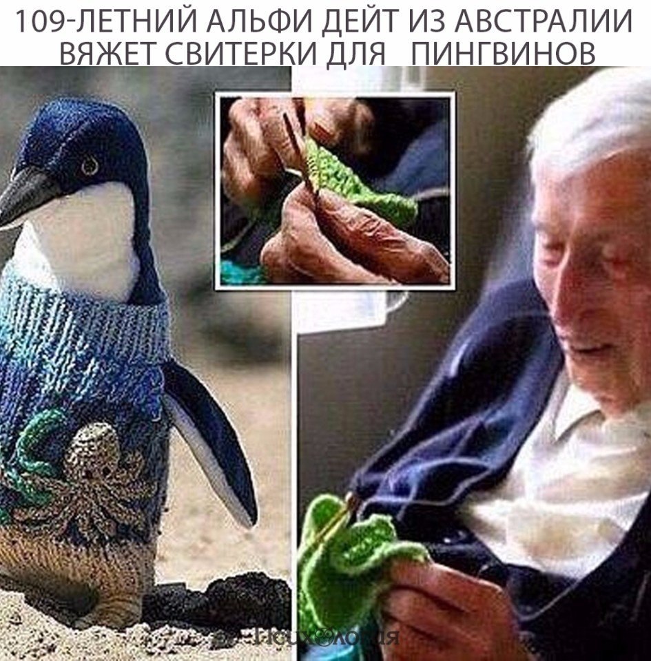  - 10  2017  11:11