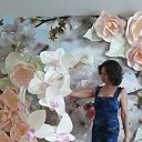 ���� �����, �����-���������, 59 ��� - ��������� 7 �������� 2017 � ������ ���� ����������