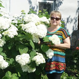 ���������, ������, 54 ����