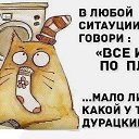 ���� ��������, ������������ - ��������� 9 ������ 2017 � ������ ������ ��������