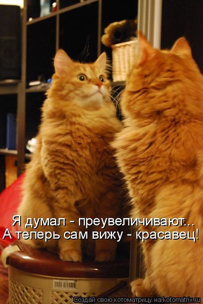    .     ))) - 7