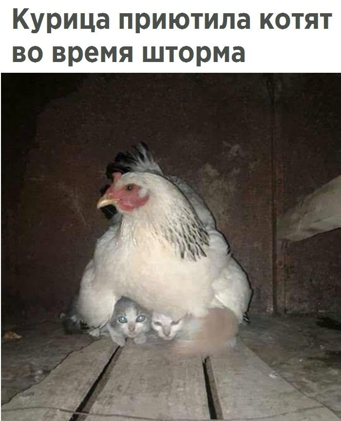  - 21  2017  10:02