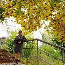 ���� ����, �������� - ��������� 5 ������� 2017 � ������ ������� ����