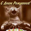 ���� �����, �������, 51 ��� - ��������� 19 ���� 2017