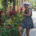 ���� ����������, ����, 45 ��� - ��������� 26 ���� 2017 � ������ ���� ����������