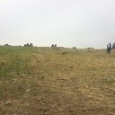 ���� ������, ������������, 47 ��� - ��������� 11 ���� 2017 � ������ ��ʻ