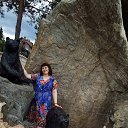 ���� ��������, ��������, 49 ��� - ��������� 22 ���� 2017 � ������ ���� ����������