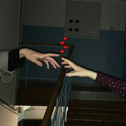 , , 24 