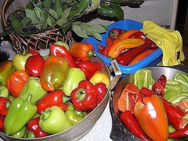 !!!  !!! :  - 4 ,   - 5 ,  - 1 ... - 2