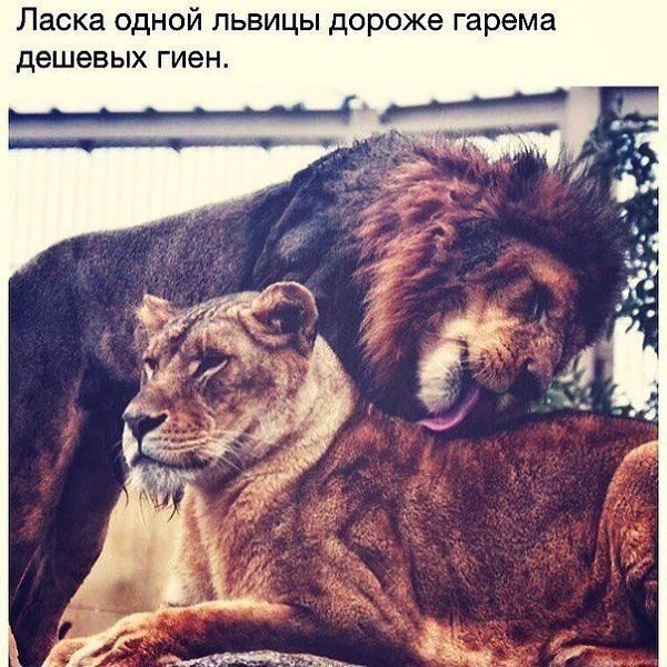 Однажды малыш, обнимая маму, сказал :