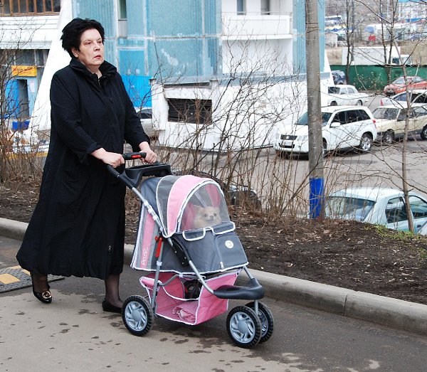 Когда в роддоме сказали: