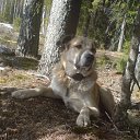 ���� ����, ������, 57 ��� - ��������� 25 �������� 2017