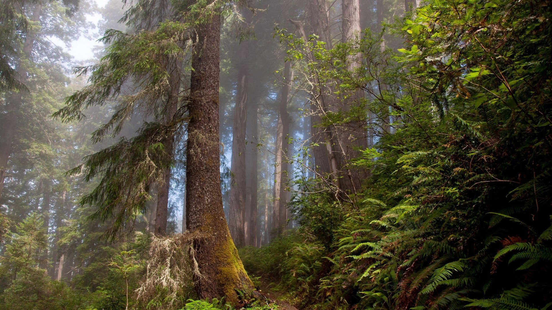 Sergio - 19  2017  21:41 - 2