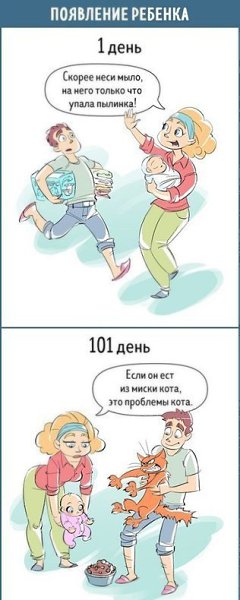 Как меняется наше отношение к любым вещам за каких-то 100 дней. #интересное@rules4life - 10