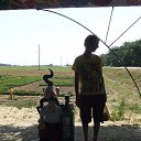 ���� �����, ������ �����, 36 ��� - ��������� 12 ���� 2017 � ������ ������ 2015�