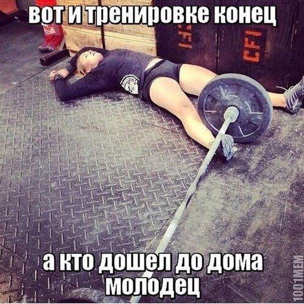  )