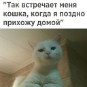  , , 32  -  2  2017    