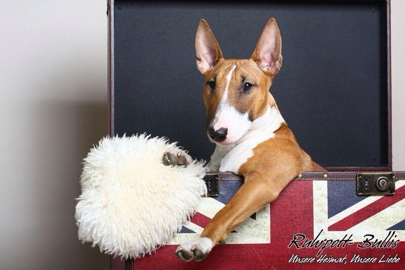 Доброго утра, легкого понедельника.С началом рабочей недели