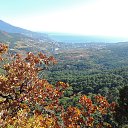  , , 60  -  16  2017        ,,14.10.17.