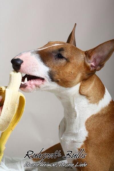 Доброе утро