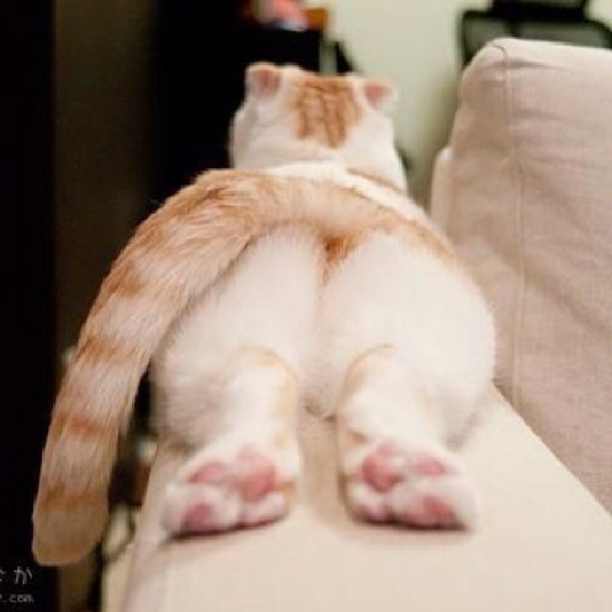  :3