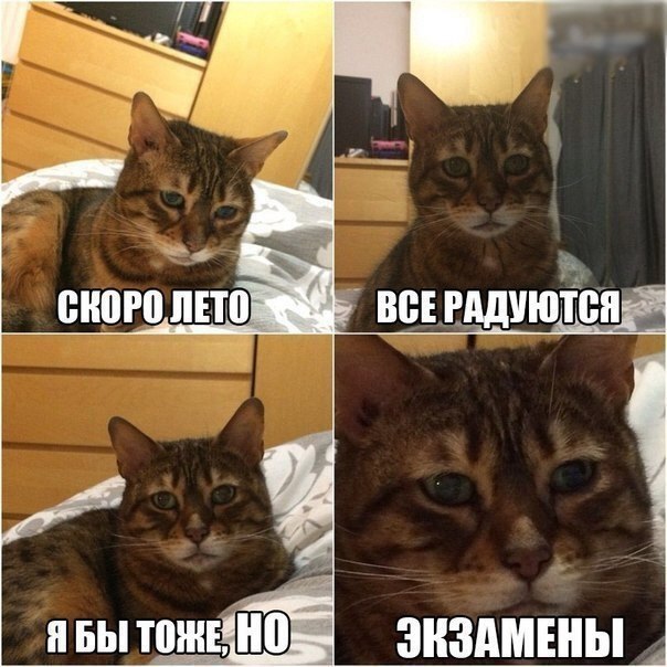    :D - 14  2017  16:31