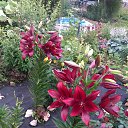 ��� ���� ��� �������,��� �� ������� ���� ����������