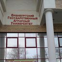  03.03.2017. !!!.    !!!