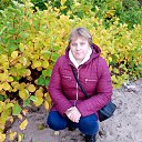 ���� ����, �����-���������, 68 ��� - ��������� 14 ������� 2017 � ������ ���� ����������