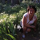 ���� ����, ���� - ��������� 7 ���� 2017 � ������ ���������� ������