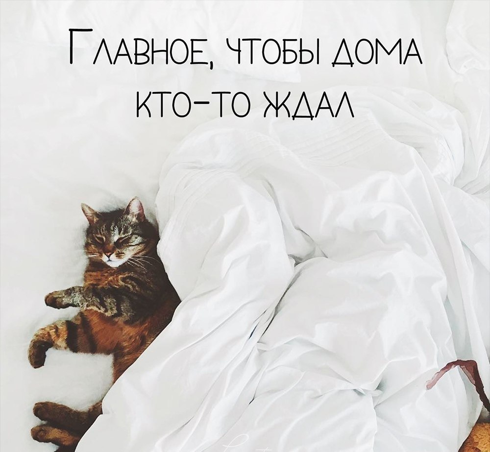   -  ,  -  - 15  2017  17:30