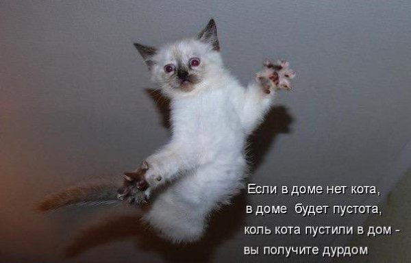    - 7  2017  14:11
