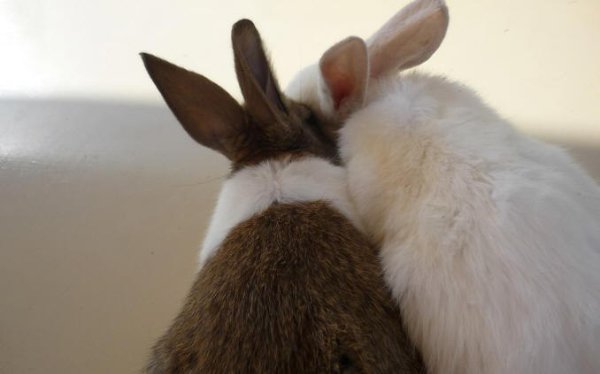 ��, ���, �� ���������� ���� ���������� ��������. ����� ����� �� �� ��������. ��, ��� �� ��� � �����. ... - 10