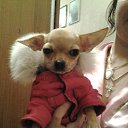 ���� ���������, �������, 59 ��� - ��������� 4 �������� 2017 � ������ ���� ����������