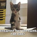  ,  -  22  2017    