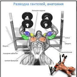 ���� �������, ������ - ��������� 27 ������ 2017