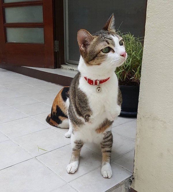 @.   ,   !.. ,    .   ,   ...