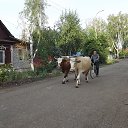  , , 62  -  27  2017     .