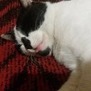 ���� ������, ��������� - ��������� 21 �������� 2017